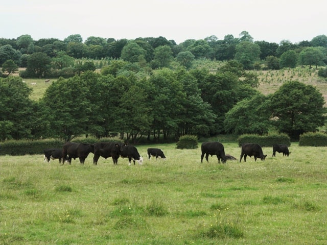 Photo "Forsbrook" by Jerry Evans (CC BY-SA) / Cropped from original