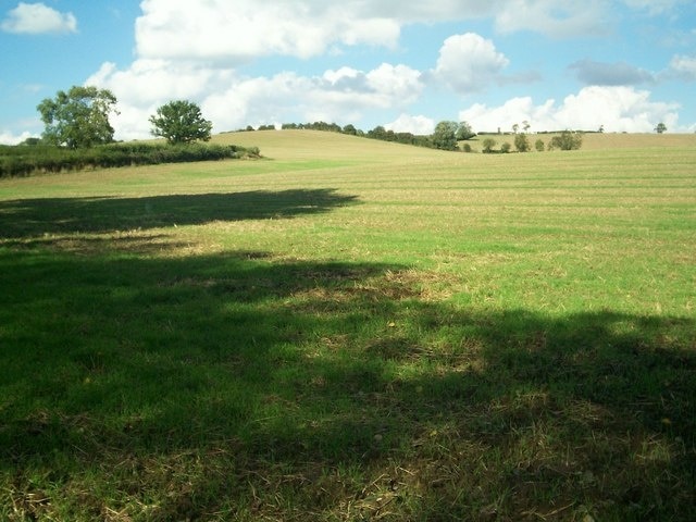 Looking North near bridge over Knee Brook. View of fields. The minor road, which goes over the bridge, is behind the hedge on the left.