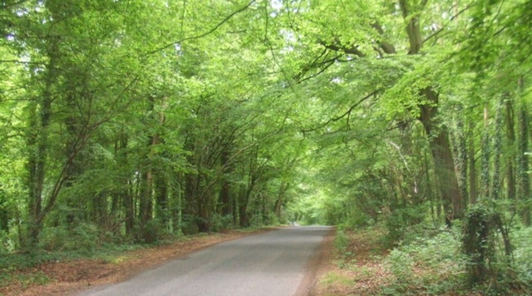 "Newton and Little Oakley"-foto av Ash Davies (CC BY-SA) / Urklipp från original