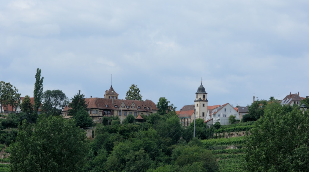 Photo "Pleidelsheim" by Mussklprozz (CC BY-SA) / Cropped from original