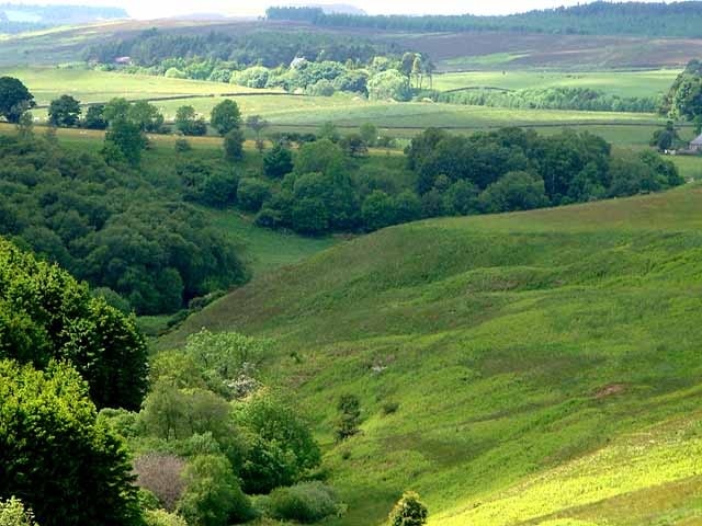 Contrast in greens Headwaters of the River Wansbeck, seen from above Kirkwhelpington.