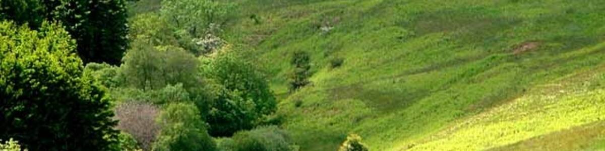 Photo "Contrast in greens Headwaters of the River Wansbeck, seen from above Kirkwhelpington." by Joan Sykes (Creative Commons Attribution-Share Alike 2.0) / Cropped from original