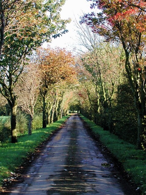 Ảnh "Đảo Sunk" của Paul Glazzard (CC BY-SA) / Cắt từ ảnh gốc