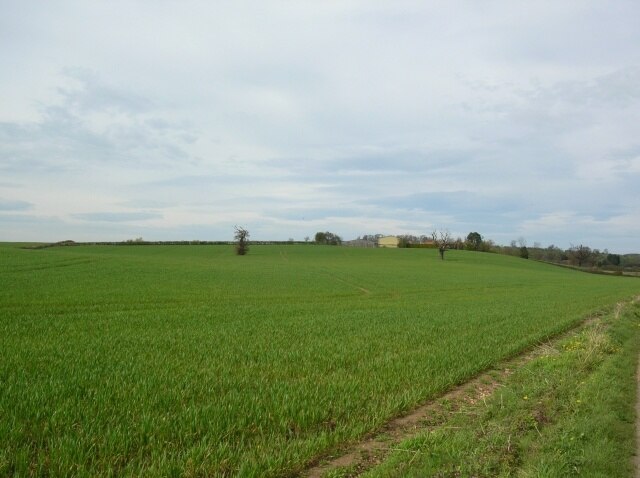 Foto “Crambe” tomada por DS Pugh (CC BY-SA); recorte de la original