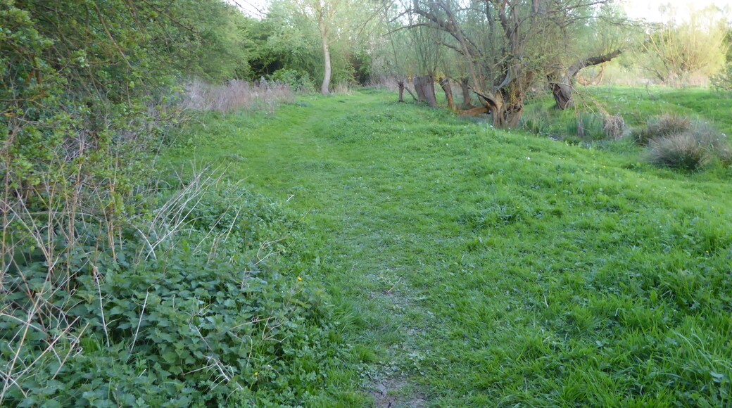 Foto „Barton Seagrave“ von Dudley Miles (CC BY-SA)/zugeschnittenes Original