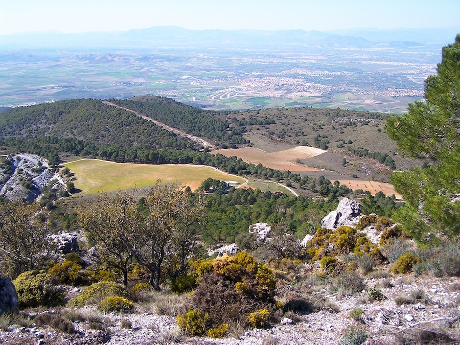 Vistas desde La Silleta del Padul