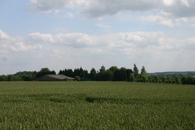 Foto “Depden” tomada por Bob Jones (CC BY-SA); recorte de la original