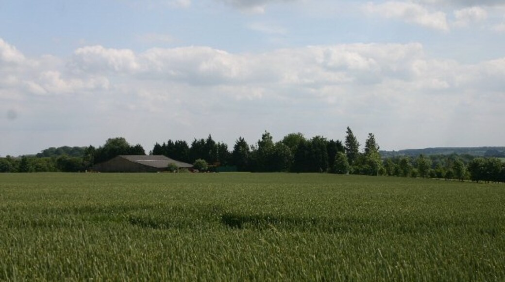 Kuva ”Depden” käyttäjältä Bob Jones (CC BY-SA) / rajattu alkuperäisestä kuvasta