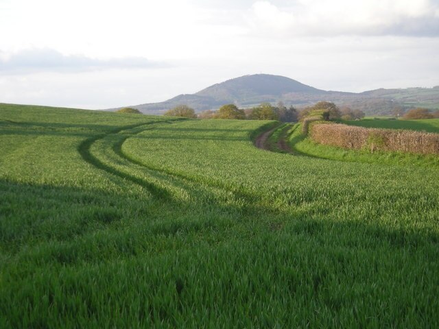 Photo "Harley" by Row17 (CC BY-SA) / Cropped from original