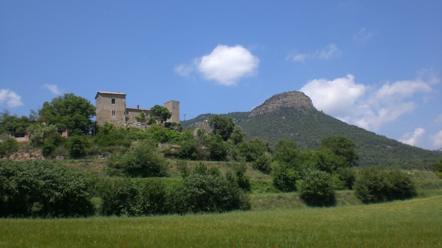 Photo "Castell de l'Espunyola (maig 2011)" by EliziR (Creative Commons Attribution-Share Alike 3.0) / Cropped from original