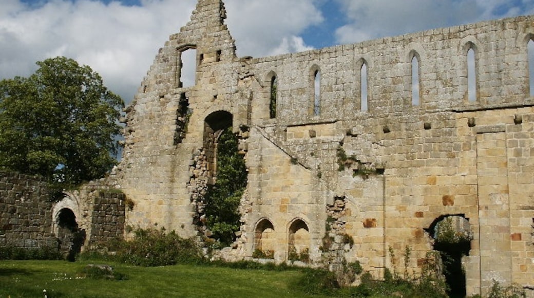 Photo "Jervaulx Abbey" by Mike Wallis (CC BY-SA) / Cropped from original