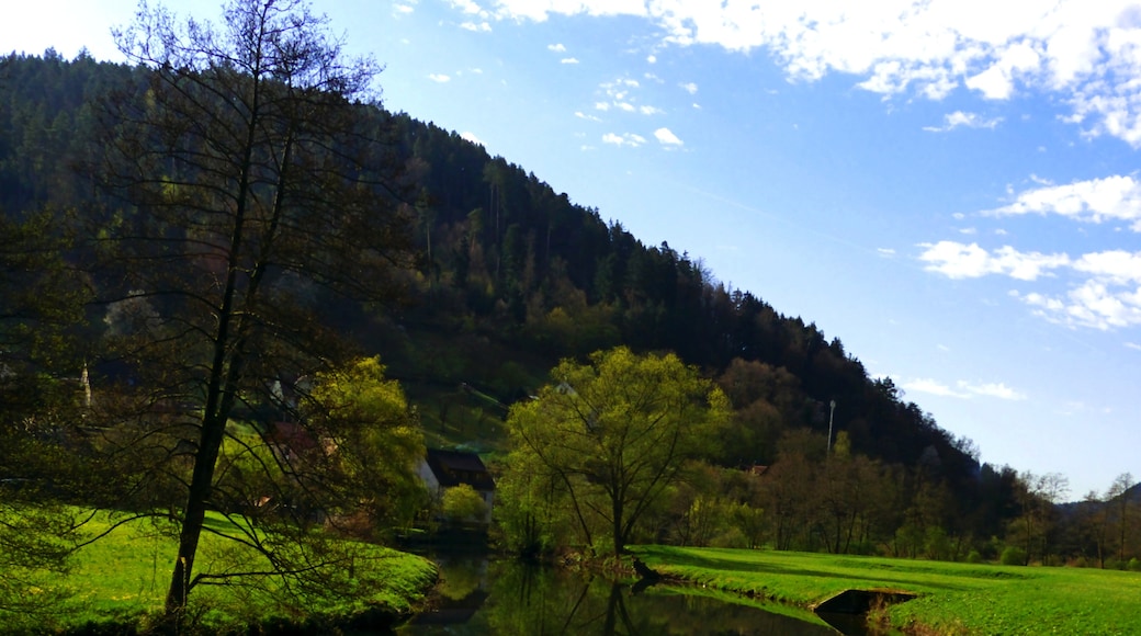 Photo "Calw" by Dg-505 (CC BY) / Cropped from original