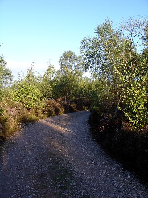 Photo "Checkley" by Linda Bailey (CC BY-SA) / Cropped from original