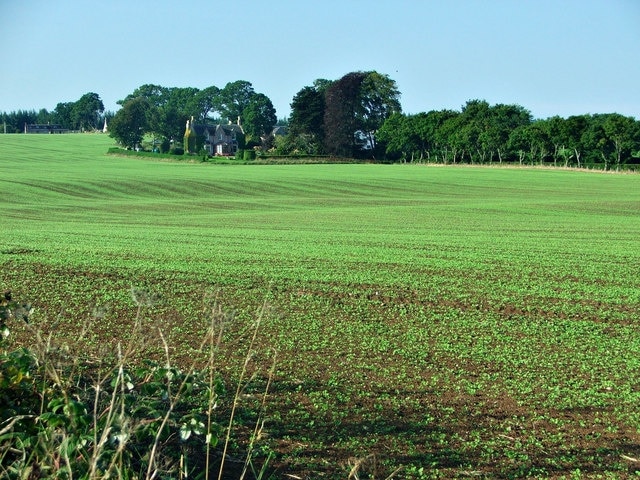 Recently sown field. Looking across the field to Balnakyle.