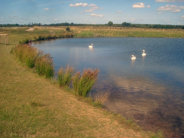 Large pond at Hicks Lodge - 3 Looking north with Beehive Wood in the distance.