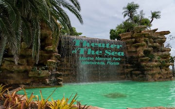 Top Beach Hotels in Islamorada, FL 