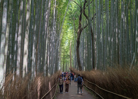 京都市 嵐山 竹林の小径 周辺のホテル 宿泊予約 格安ホテル予約 最安値検索 ホテルズドットコム 京都市 嵐山 竹林の小径 周辺のホテル 宿泊予約 格安ホテル予約 最安値検索 ホテルズドットコム