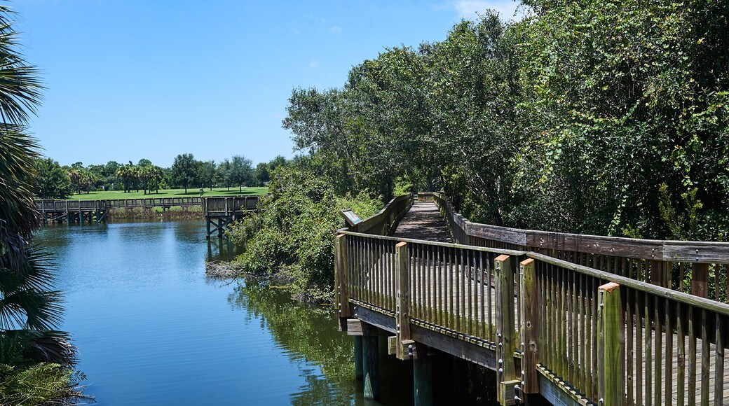 Eagle Lake Park, Clearwater, Florida, United States of America