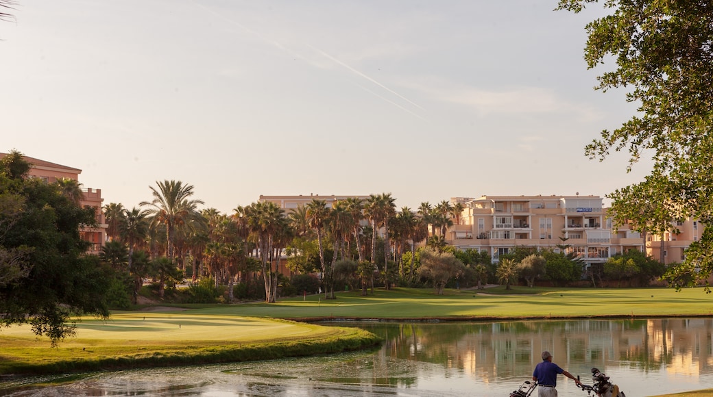 Alicante Golf Course, Alicante, Valencian Community, Spain