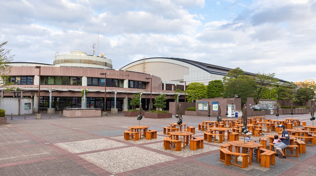 Chiba Port Arena, Chiba, Chiba Prefecture, Japan