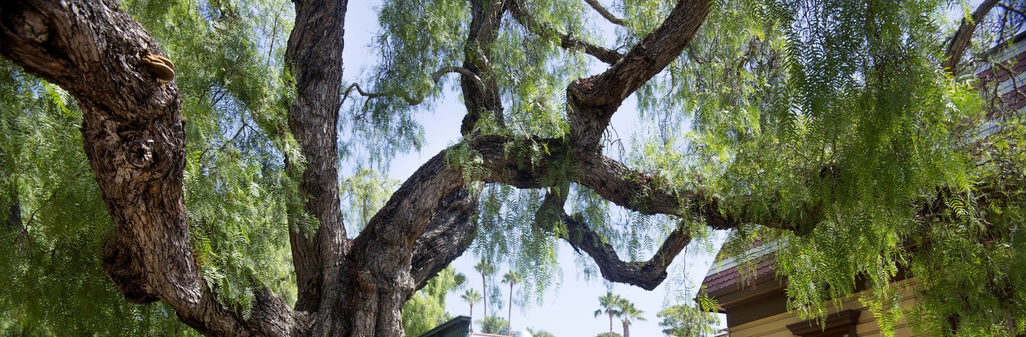 サンディエゴ, カリフォルニア州, アメリカ