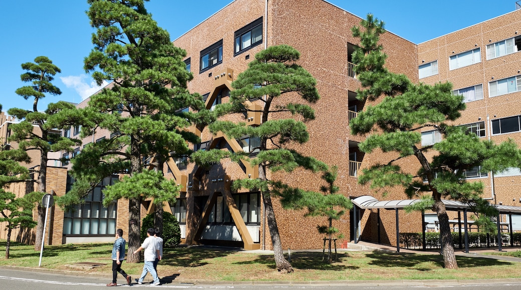 Universitas Tohoku, Sendai, Miyagi (prefektur), Jepang