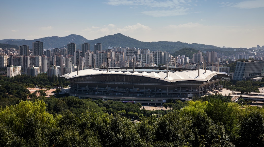 Seoul World Cup Stadium, Seoul, South Korea