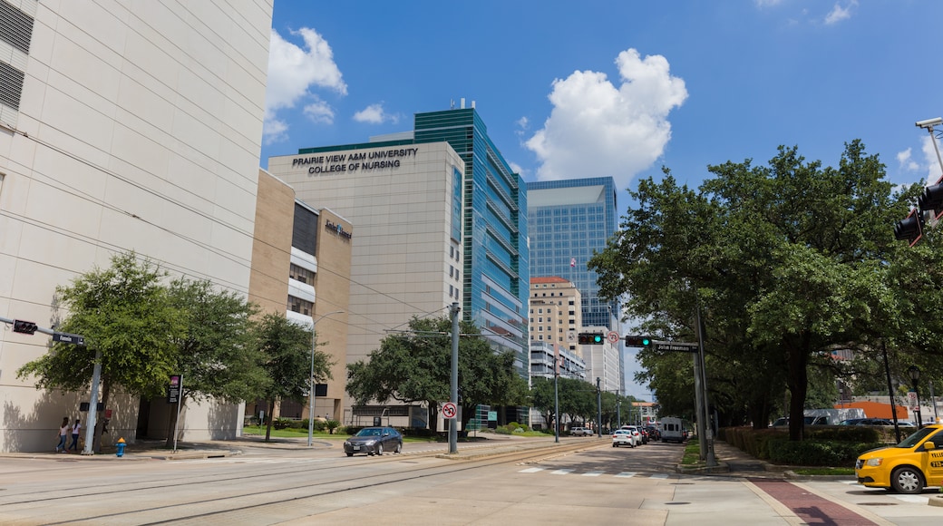Texas Medical Center (sairaala), Houston, Texas, Yhdysvallat