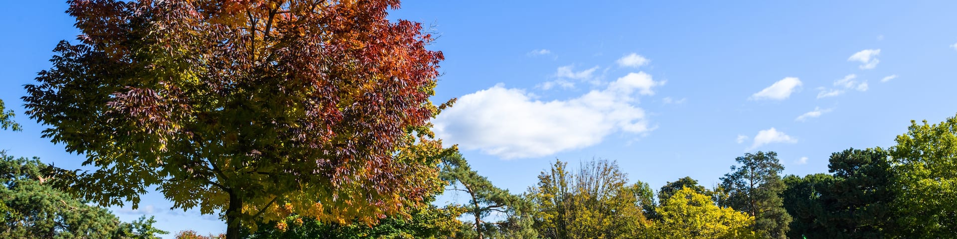 基洛納商務中心區, 基隆拿, 卑詩, 加拿大