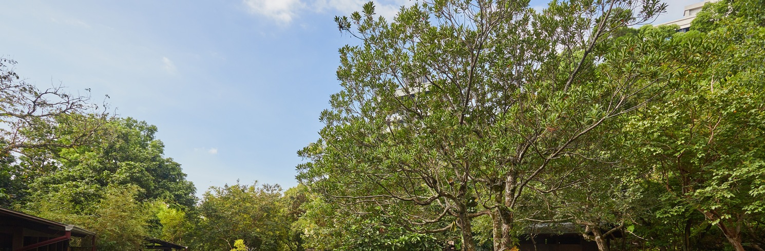 Tiêu Khê, Đài Loan