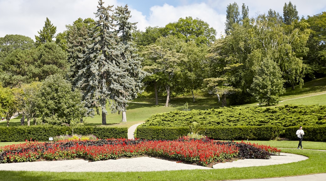 High Park (πάρκο), Τορόντο, Οντάριο, Καναδάς