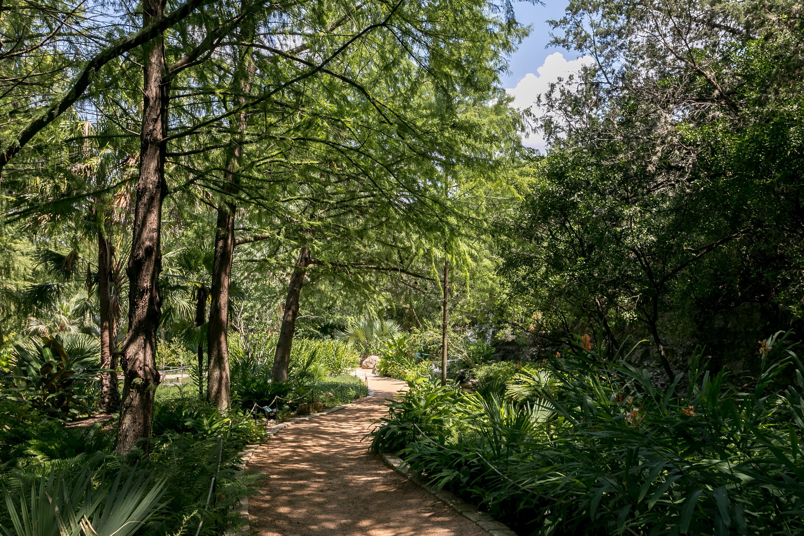 Top Hotels Closest To Zilker Botanical Garden From $59 | Hotels.com