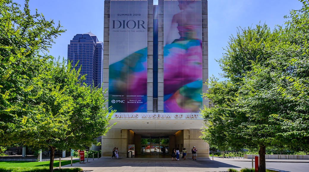 Dallas Museum of Art, Dallas, Texas, United States of America