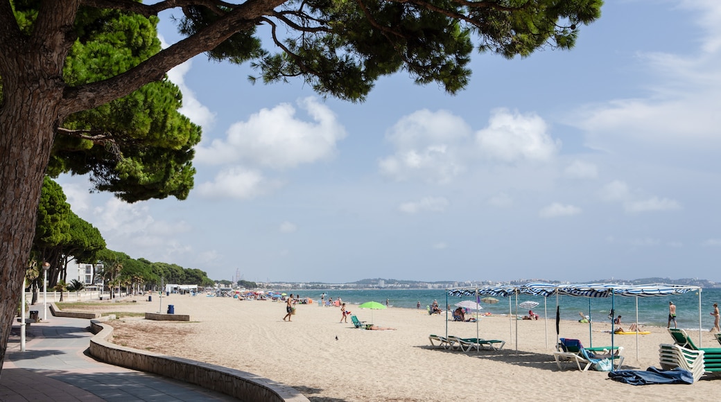 Vilafortuny Beach, Cambrils, Catalonia, Spain