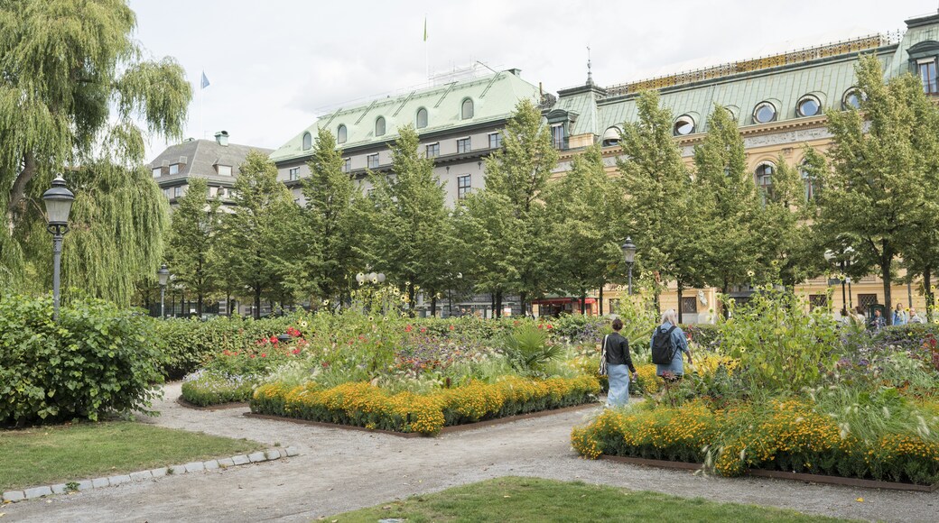 สวน King's Garden, สตอกโฮล์ม, เขตปกครองสตอกโฮล์ม, สวีเดน