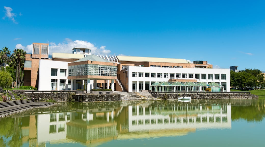 國立東華大學, 壽豐, 台灣
