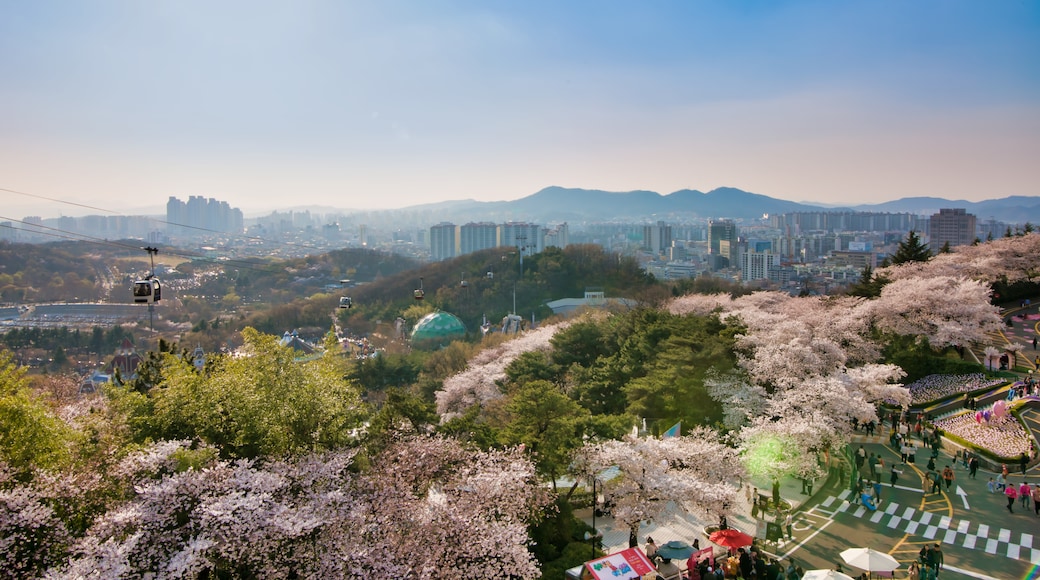 Dalseo-gu, Daegu, Sydkorea