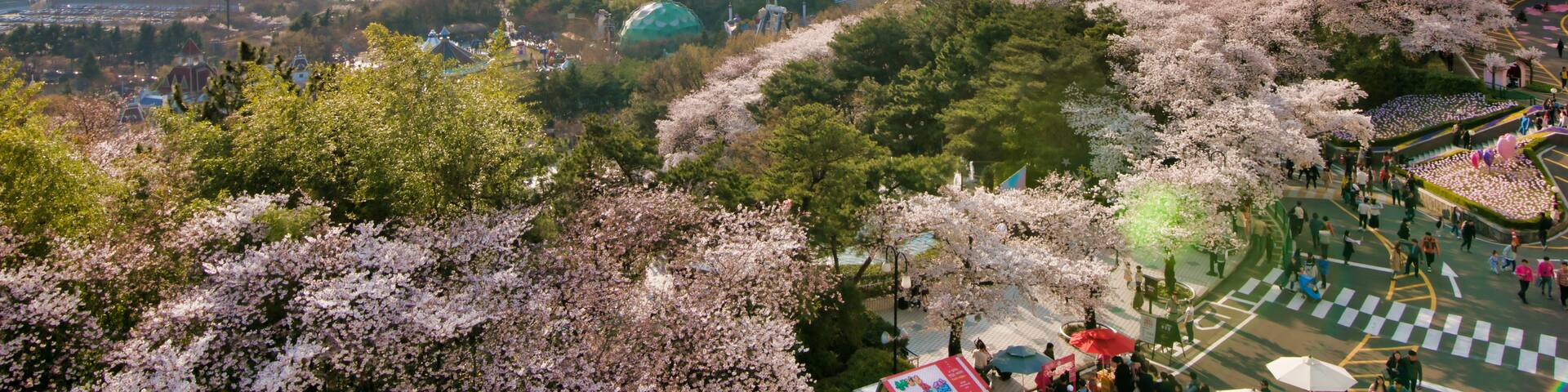 Dalseo-gu, Daegu, South Korea