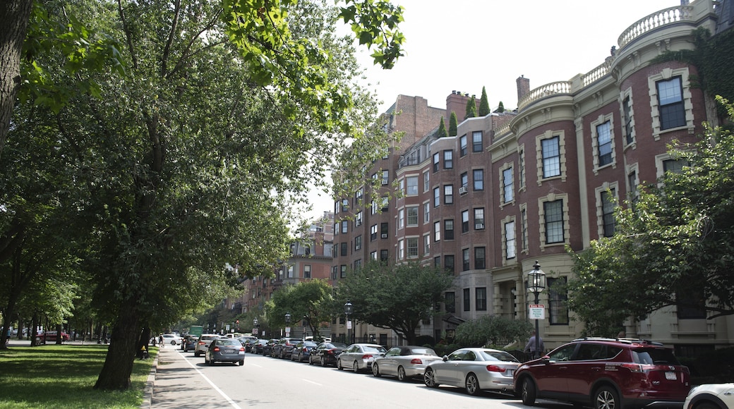 Newbury Street, Boston, Massachusetts, USA