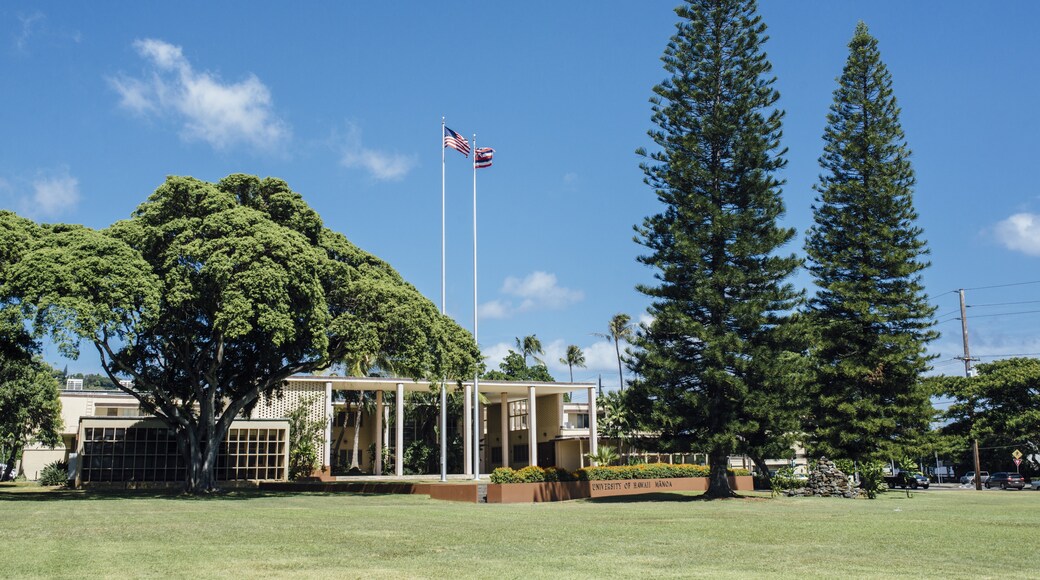 ハワイ大学マノア校, ホノルル, ハワイ州, アメリカ