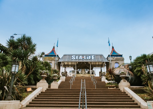 ブライトン ブライトン シーライフ センター 水族館 周辺のホテル 宿泊予約 格安ホテル予約 最安値検索 ホテルズドットコム ブライトン ブライトン シーライフ センター 水族館 周辺のホテル 宿泊予約 格安ホテル予約 最安値検索 ホテルズドットコム