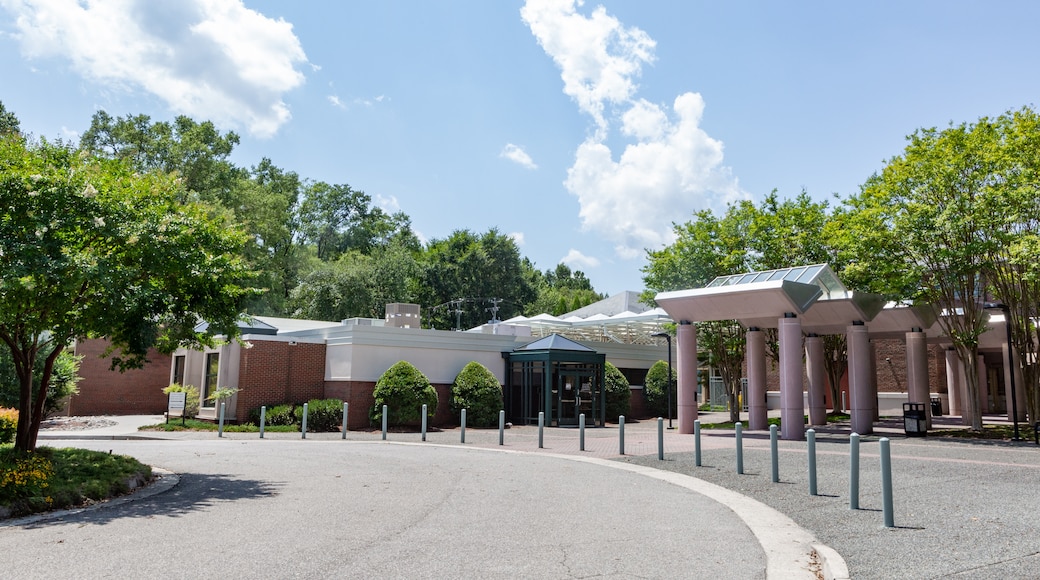 Cultural Arts Center Glen Allen, Glen Allen, Virginia, United States of America