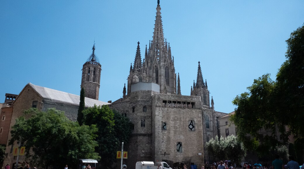 Barcelonan katedraali, Barcelona, Katalonia, Espanja