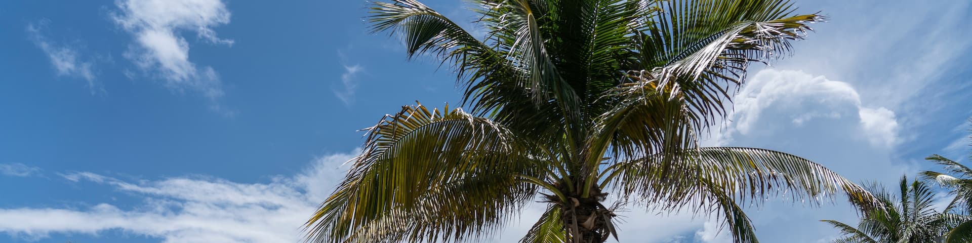 Hollywood Beach, Hollywood, Broward County, Florida, United States of America