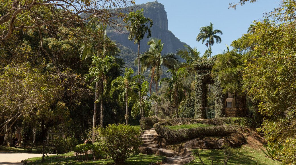 Rio de Janeiro Botanical Garden, Rio de Janeiro, Rio de Janeiro State, Brazil