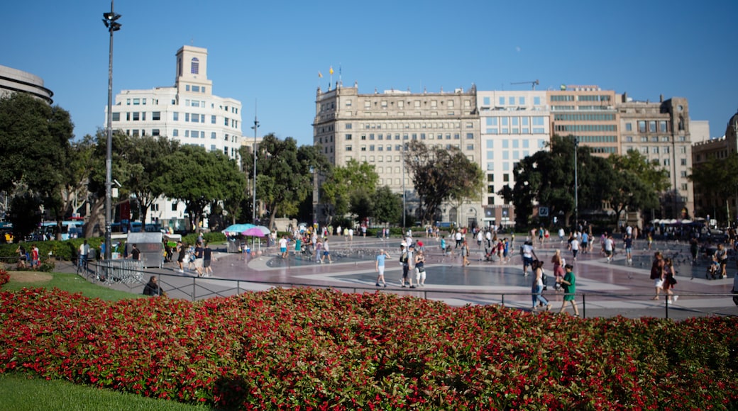 카탈루냐 광장, 바르셀로나, 카탈루냐, 스페인