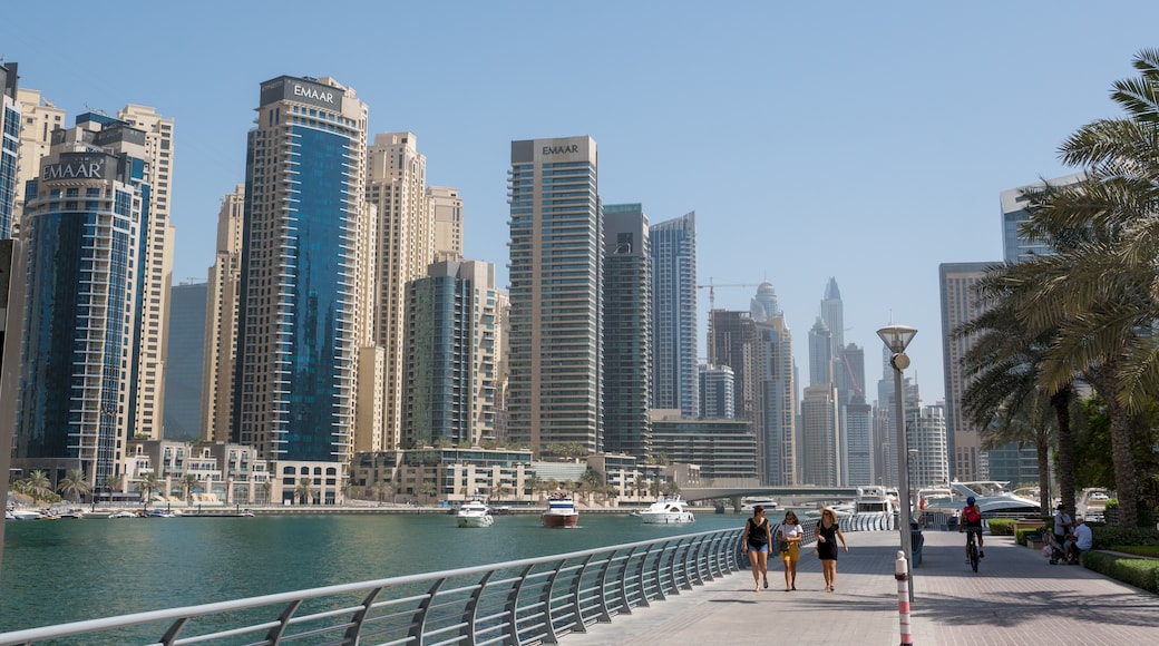 Dubai Marina (smábátahöfn), Dubai, Dúbæ, Sameinuðu arabísku furstadæmin