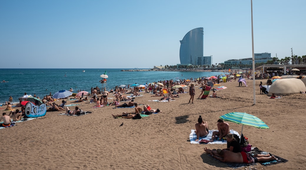 Barceloneta Beach, Barcelona, Catalonia, Spain