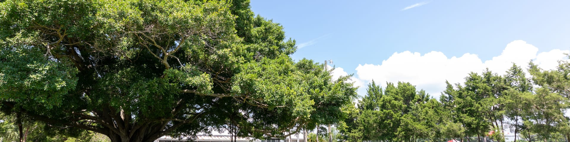 Bradenton, Florida, Egyesült Államok