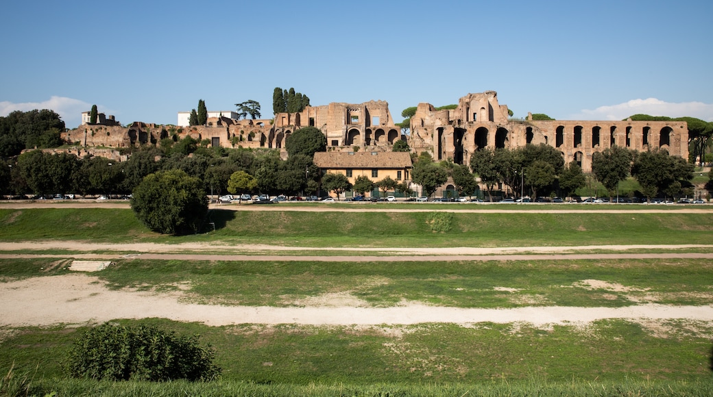 Trường đua Xe ngựa Circus Maximus, Rome, Lazio, Ý